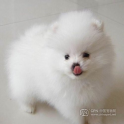 语薇时尚