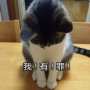 捌云紫