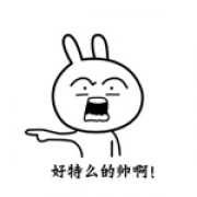VIP特仑苏