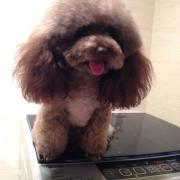 2橙子