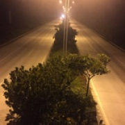 木一无语