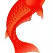 筱飛