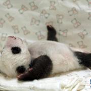 女巫的漫步