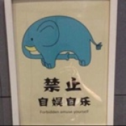 懒小汪