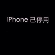 Despise_孽