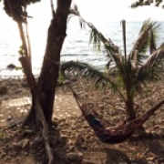 風魂丨流浪