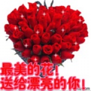 傍晚看日出