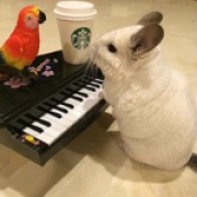 丶幻想