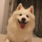 K貔貅