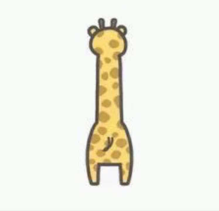 曾桀桀