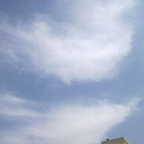 G1123874546
