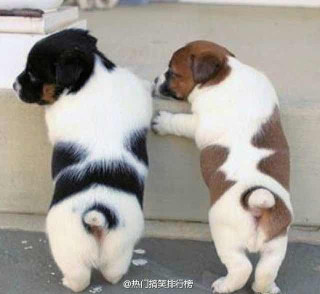 硬硬