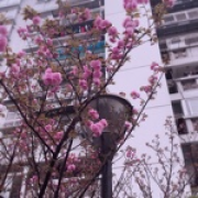 寻千与千寻