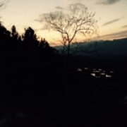 G1124811417
