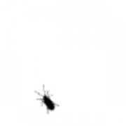 G1124840231