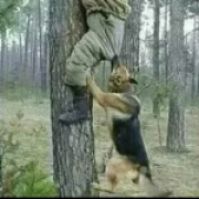 泷丶少