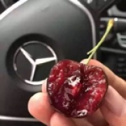 G1125183708