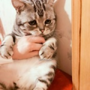 阿尔赛纳