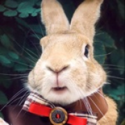 旺财的跑偏小裤衩