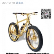 G1125615561