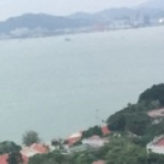 小鱼尼莫