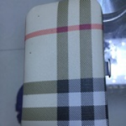 鱼十一