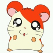 o淡蓝色o