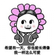 杰哥1994