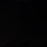 一天到晚失忆的鱼