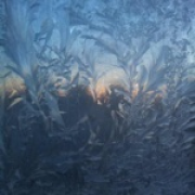 缤纷雪飘