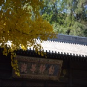 墨色未央