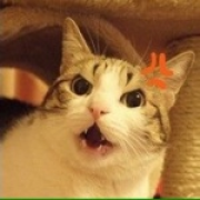 肥猫叔叔