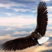 指间戏流年