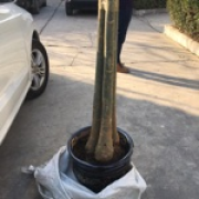 G1126609839