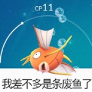G1126665837