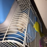 我活着就是一种罪