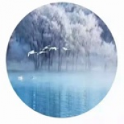 Sk_残雪