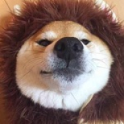 弃坑