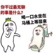 碎米粒子